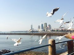 景点-栈桥景区