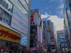 -秋叶原电器街