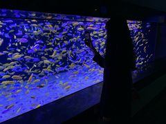 -成都浩海立方海洋公园