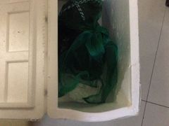 iphone_upload_pic-小陆莲花蟹园农家乐(莲花岛店)
