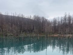 -青池