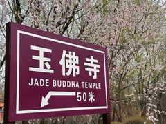 -玉佛苑