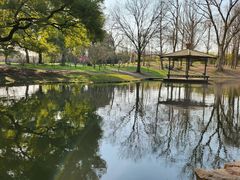 -上海共青森林公园