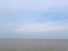-大湾区中央湿地公园-十九涌