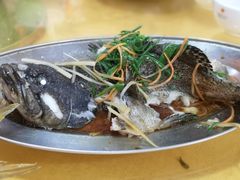 -都斛海鲜街