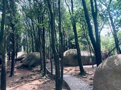 -火炉山森林公园