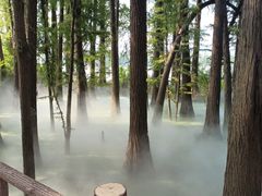 -东湖落雁景区