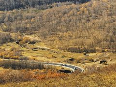 -塞罕坝国家级自然保护区