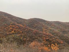 -鬼笑石后山停车场
