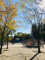 -大望京儿童游乐场