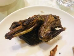 -食家鸽园