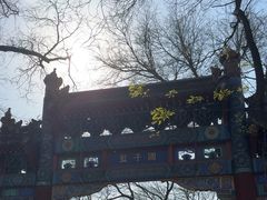 -北京国子监胡同