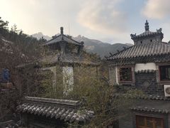 -老张烤羊(王哥庄店)