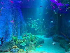 -沈阳海洋探索中心