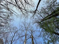 -秦岭终南山世界地质公园翠华山景区
