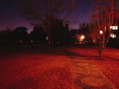 -北大佟园(北京大学店)
