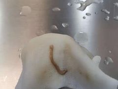 -瑞鹏宠物医院·眼科·皮肤·中兽医(大悦城分院)
