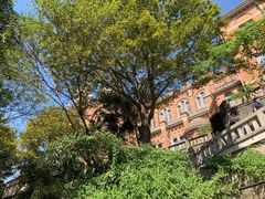 -上海佘山国家森林公园西佘山园