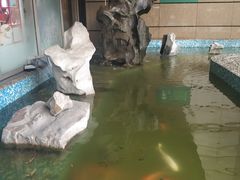 -巴黎春天(浦建店)