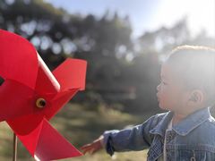 -泉州海丝野生动物世界