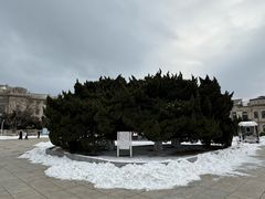 -旅顺博物馆