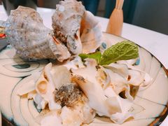 -鲜螺湾(鹏欣丽都店)