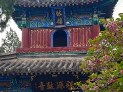 -洛阳白马寺