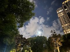 -TOMATITO(无限极荟店)