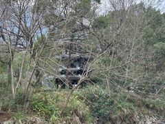 -楠溪江风景名胜区