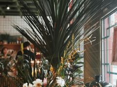 -Catch Bagel(芳草地店)