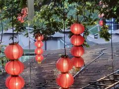 -侨美·唐荔园·40年地道粤菜