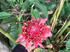 -曼听御花园