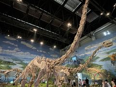 -自贡恐龙博物馆