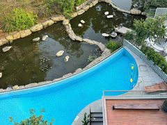 -广州市流溪河国家森林公园