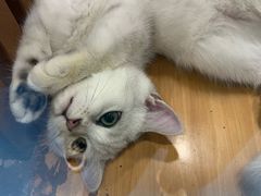 -龟与熊猫宠物公园(南坪店)