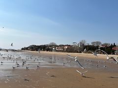 -老虎石海上公园