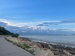 -深圳湾公园(南山区)