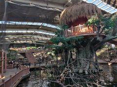 -南宫五洲植物乐园