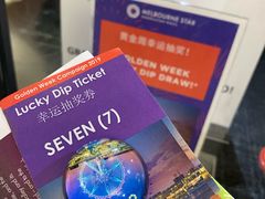 -墨尔本之星 观景摩天轮