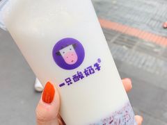 -一只酸奶牛(奎星楼店)