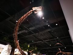 -国家自然博物馆