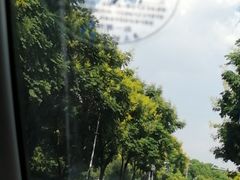 -常州古运河南大街文化旅游区-人民公园