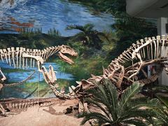 -自贡恐龙博物馆