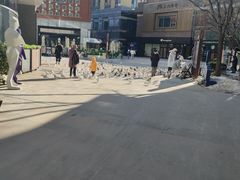 -中粮·祥云小镇