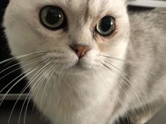 -暖阳宠物医院·犬猫康复中心·骨科