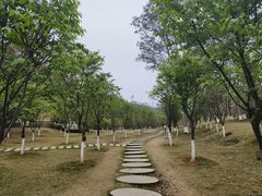 -神光山国家森林公园