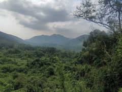 -霸王岭国家森林公园