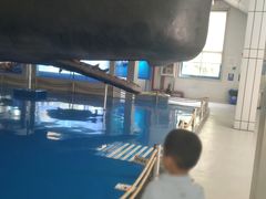 -上海海洋大学鱼文化博物馆(军工路校区)