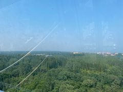 -日照海滨国家森林公园