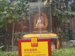 -西安市广仁寺